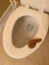 Load image into Gallery viewer, Realistic Gross Party Pooper Fake Poo Novelty Toy Brown Birthday Prank Gift Joke