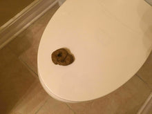 Load image into Gallery viewer, Realistic Party Pooper Fake Poo Novelty Toy Birthday Prank Gift Joke