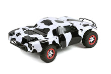 Load image into Gallery viewer, Custom Body Cow Style for Traxxas 1/10 Slash Truck Car Shell Cover 1:10
