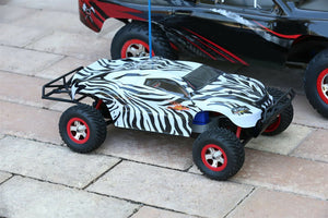 Custom Body Zebra Style for Traxxas 1:16 Slash / e-Revo 1/16 Scale e Revo